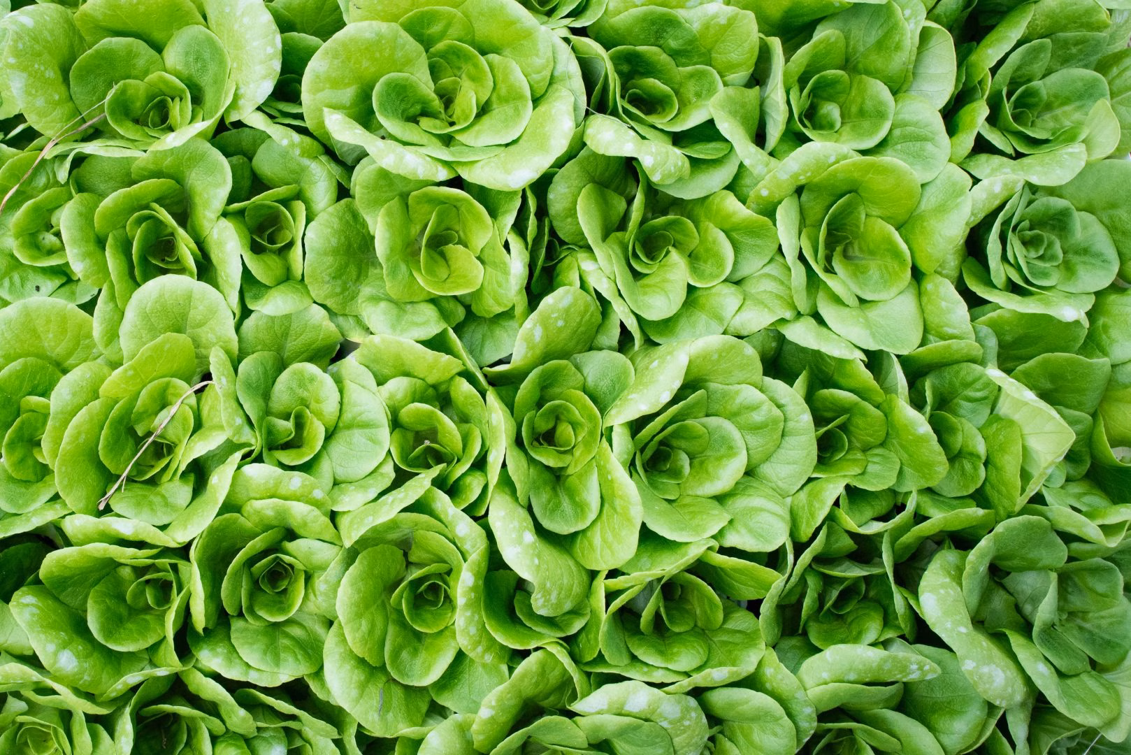 Economia circolare